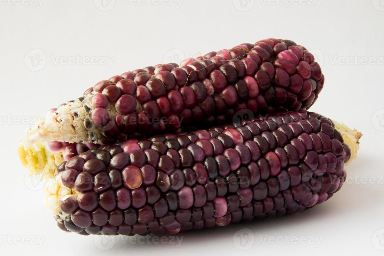 maïs en épi brun photo
