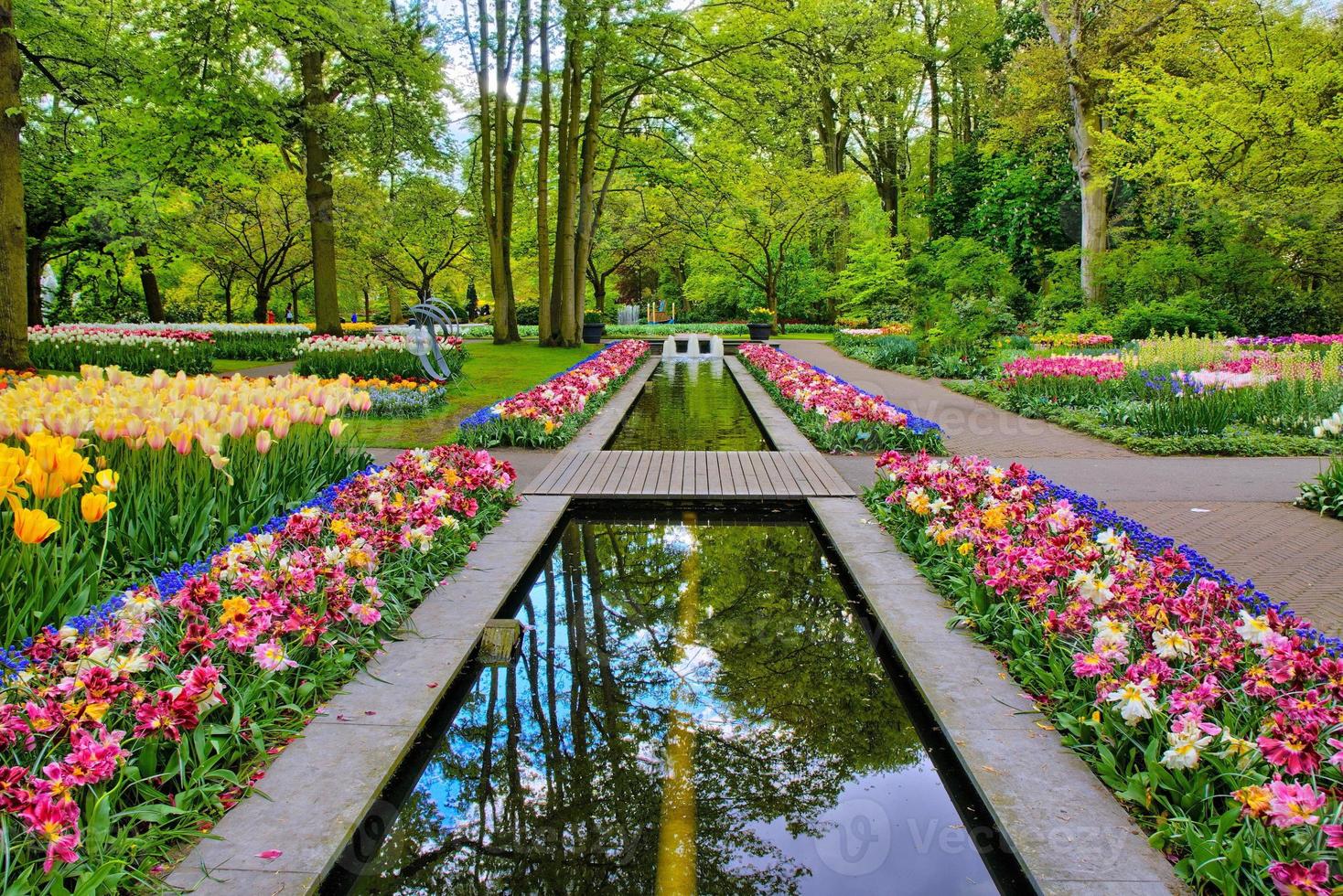 chemin d'eau entouré de tulipes colorées, parc de keukenhof, lisse en hollande photo