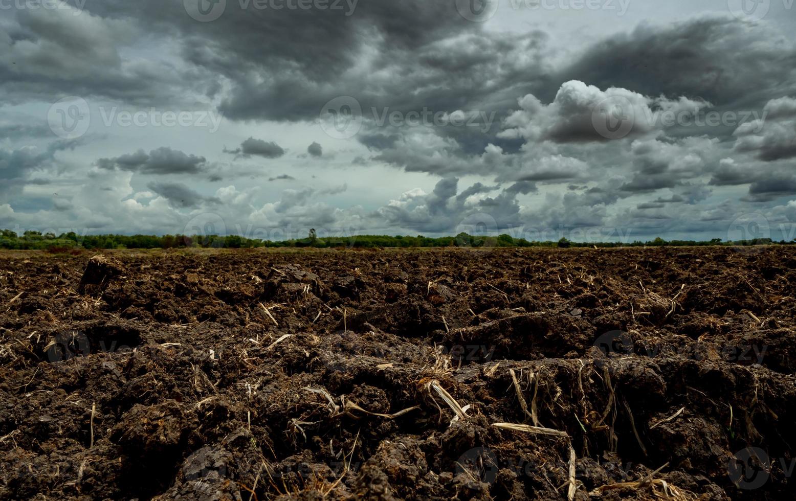 champ labouré agricole. champ labouré de sol noir avec ciel orageux. terre de terre dans la ferme. sol de travail du sol préparé pour la plantation de cultures. sol fertile dans une ferme agricole biologique. paysage de terres agricoles. photo