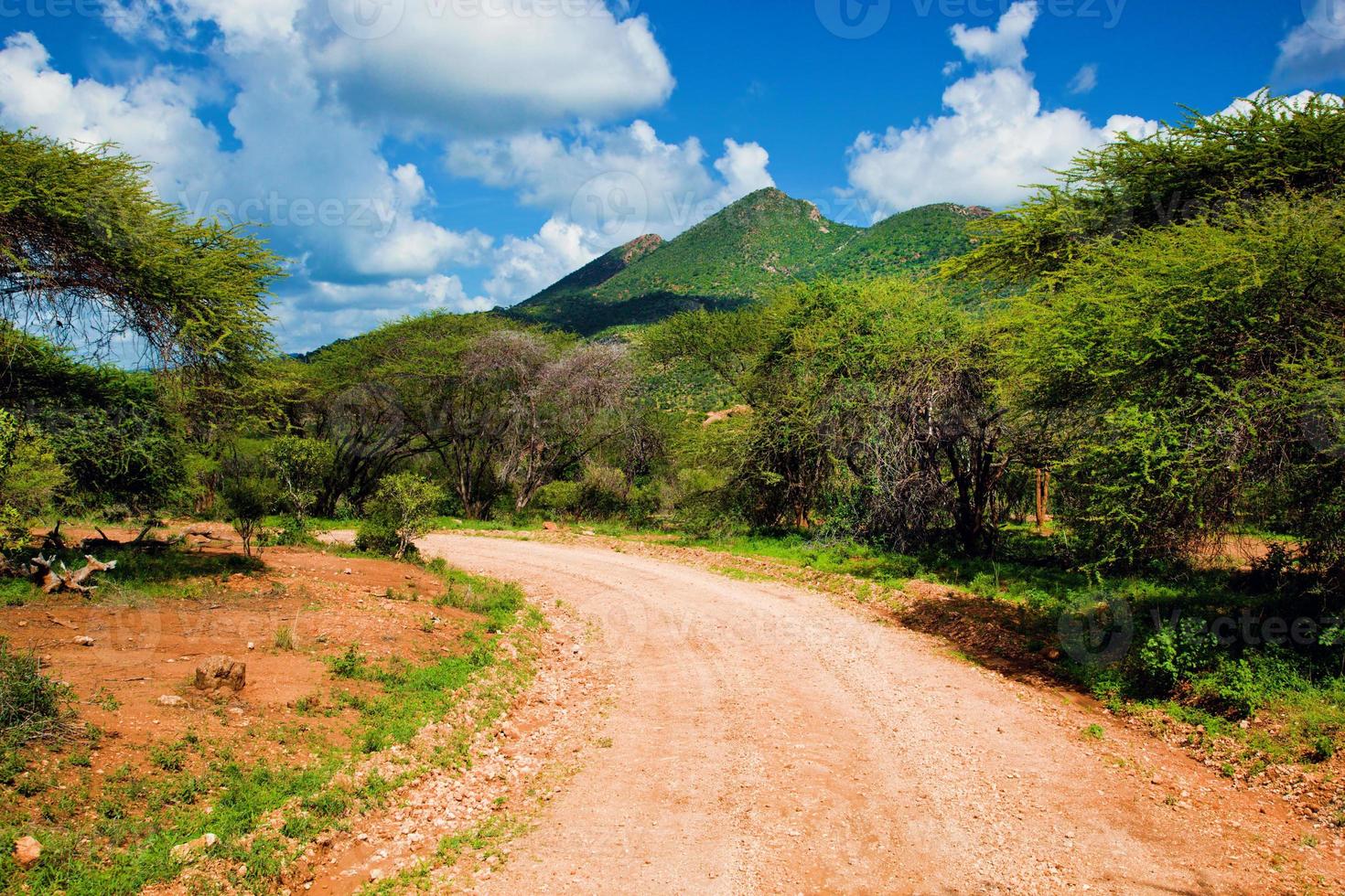 route de terre rouge et savane. tsavo ouest, kenya, afrique photo