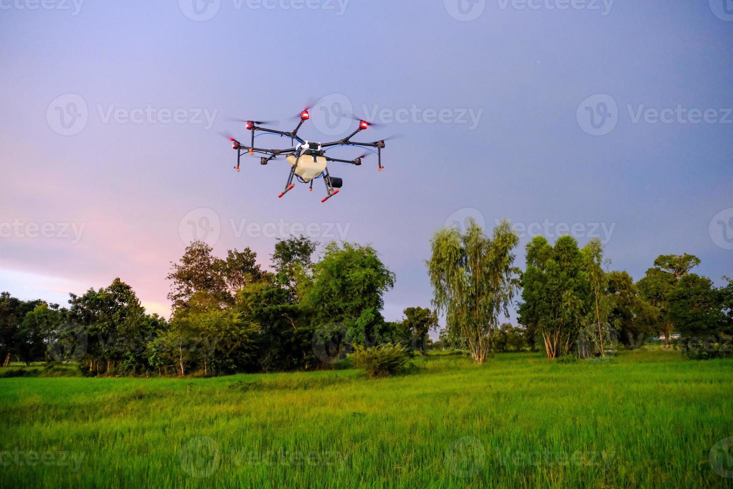 drones agricoles en thaïlande photo