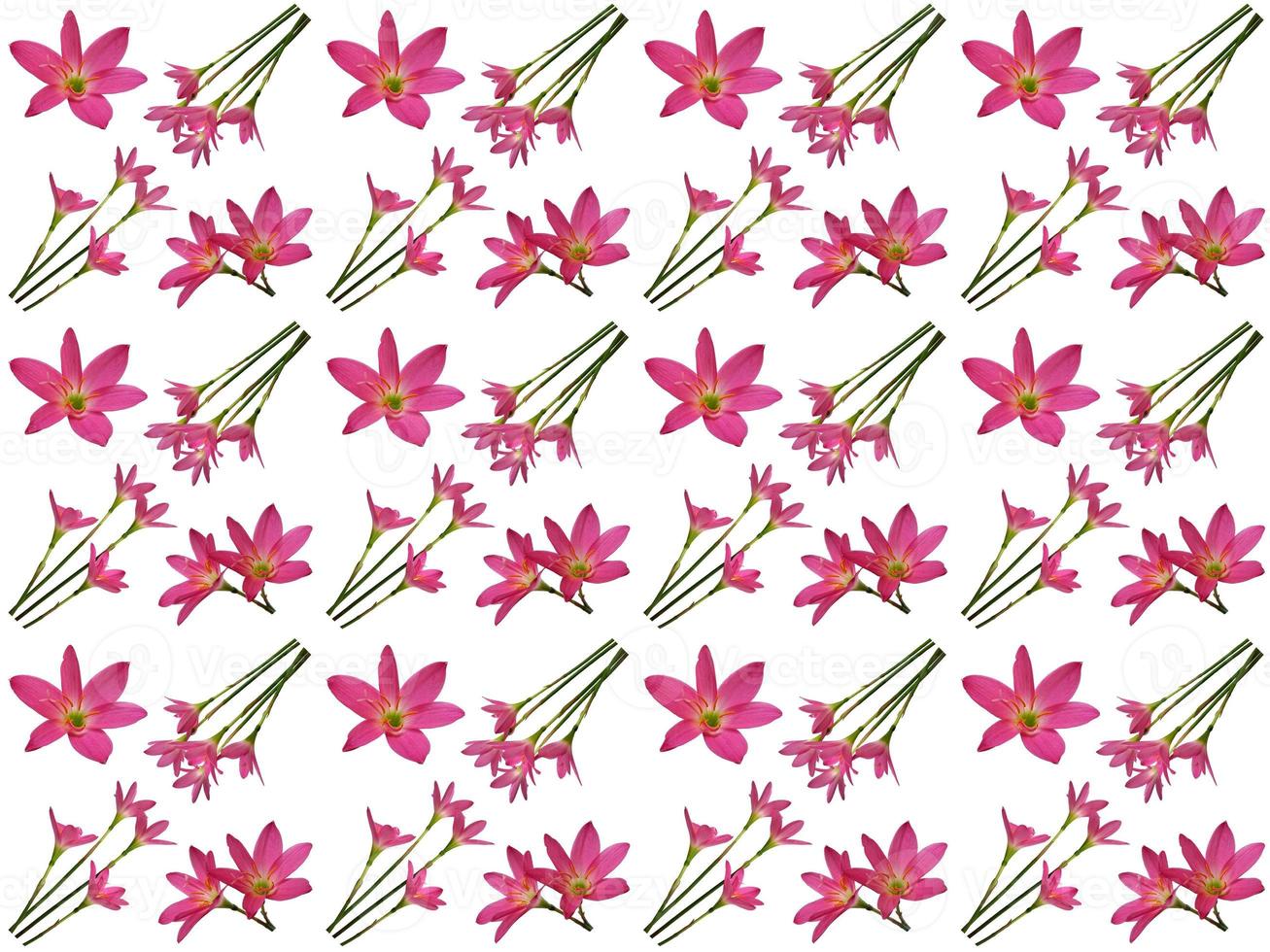 motif floral sur fond blanc photo