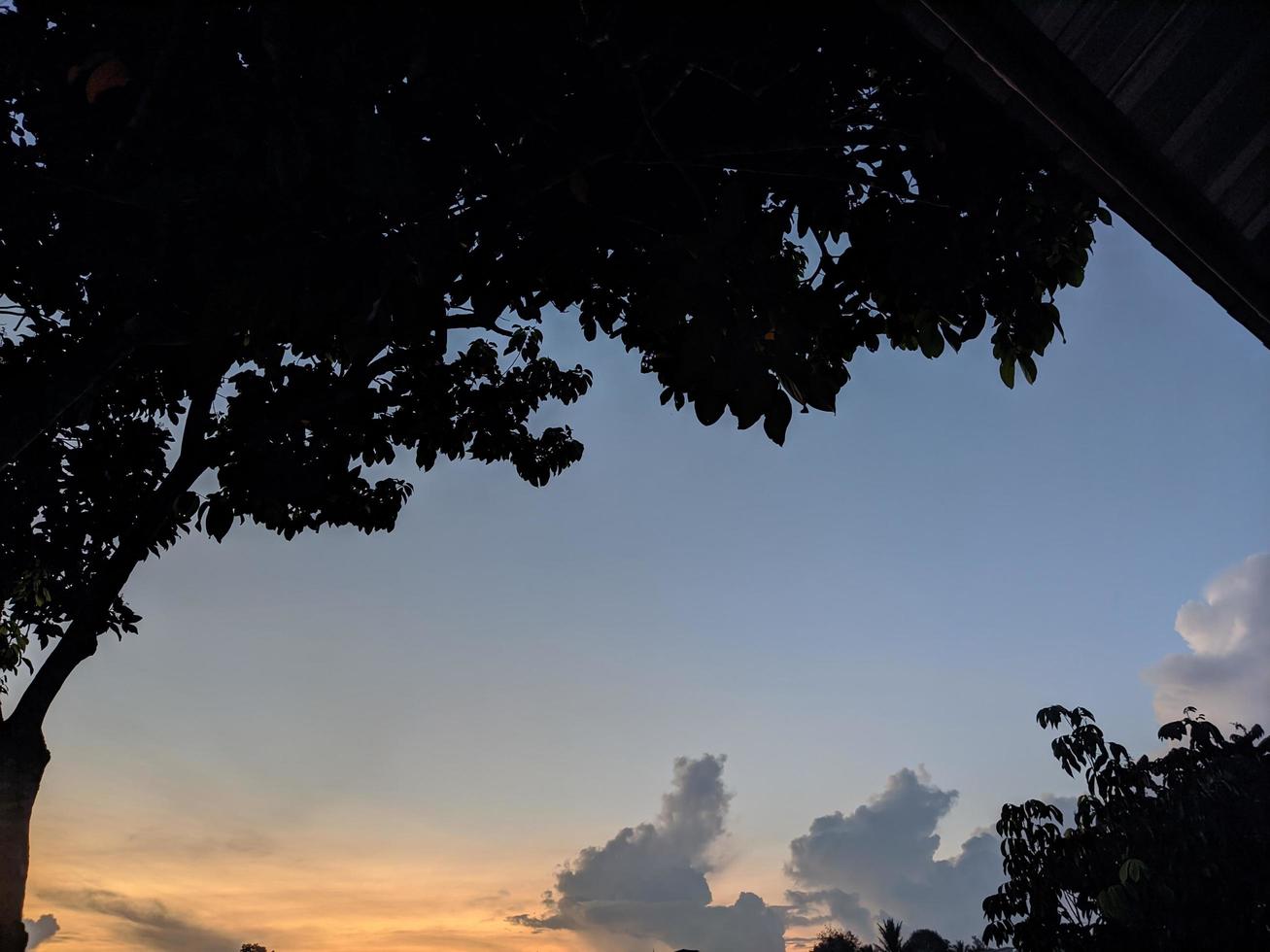 photo de la nature quand le soleil se lève le matin sur la colline