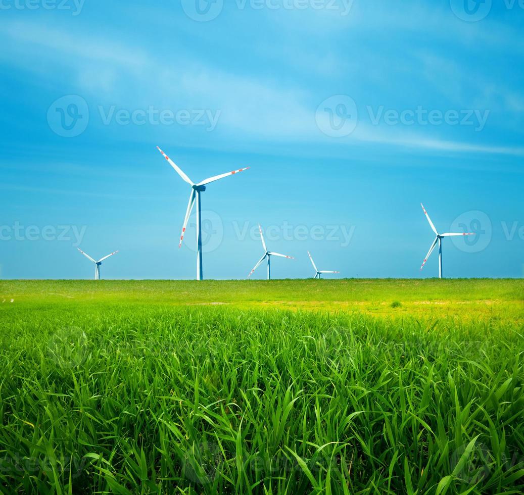 éoliennes sur champ vert photo