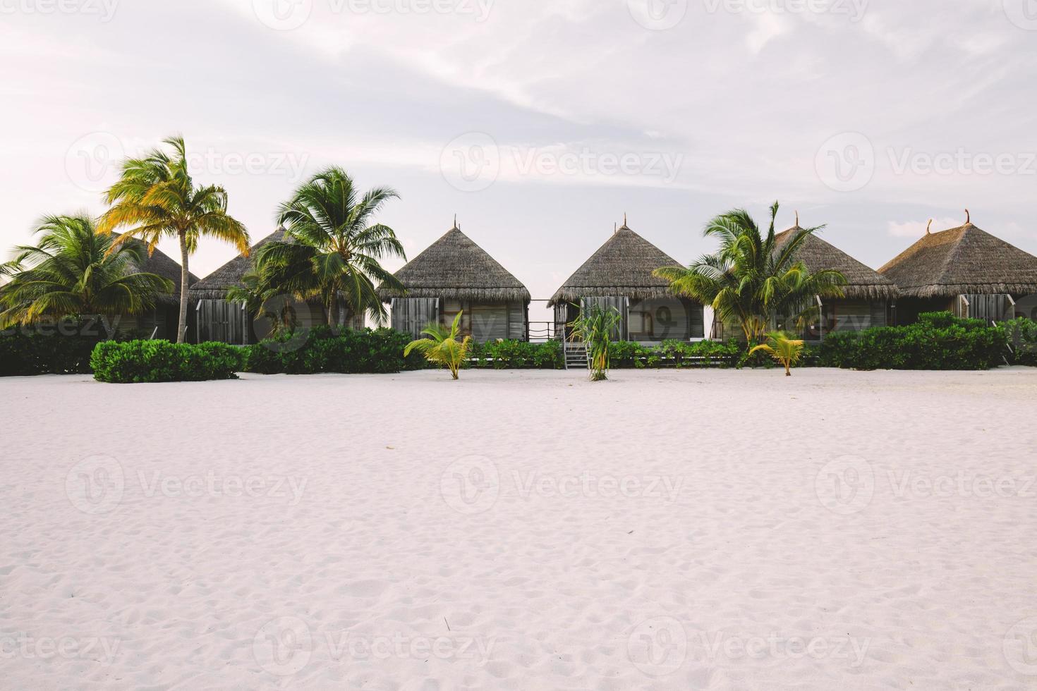 cabines exotiques sur une plage de sable avec des palmiers et des buissons photo