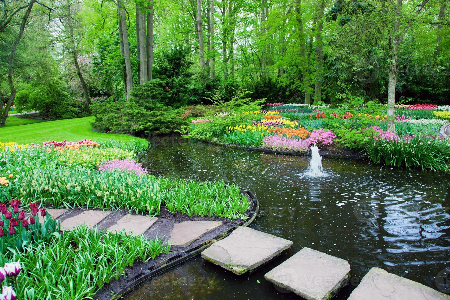 parc d'été coloré de printemps, pont photo