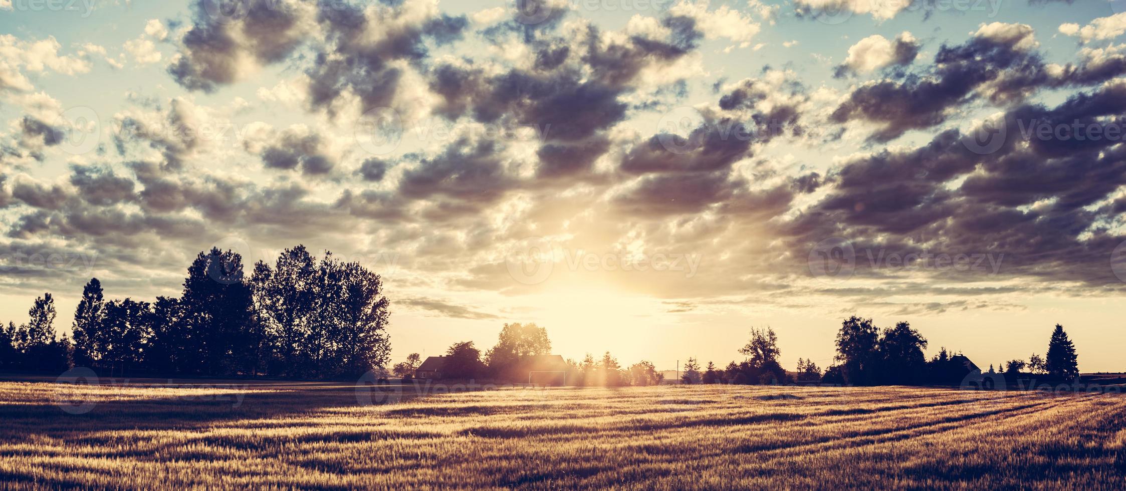 panorama de la campagne au coucher du soleil. champ de blé doré photo