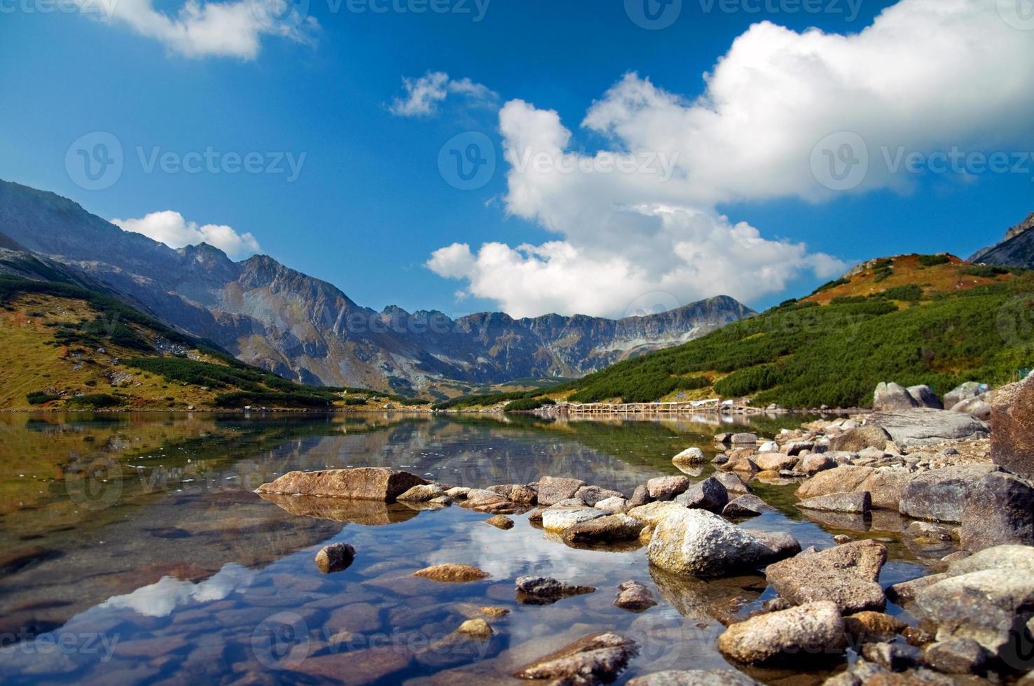 le paysage naturel de la forêt de bois qui convient comme arrière-plan  12775769 Photo de stock chez Vecteezy