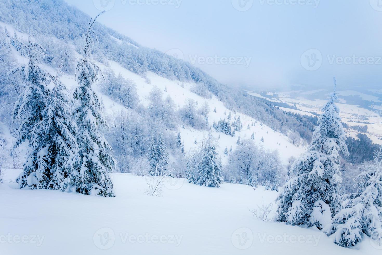 paysage d'hiver photo