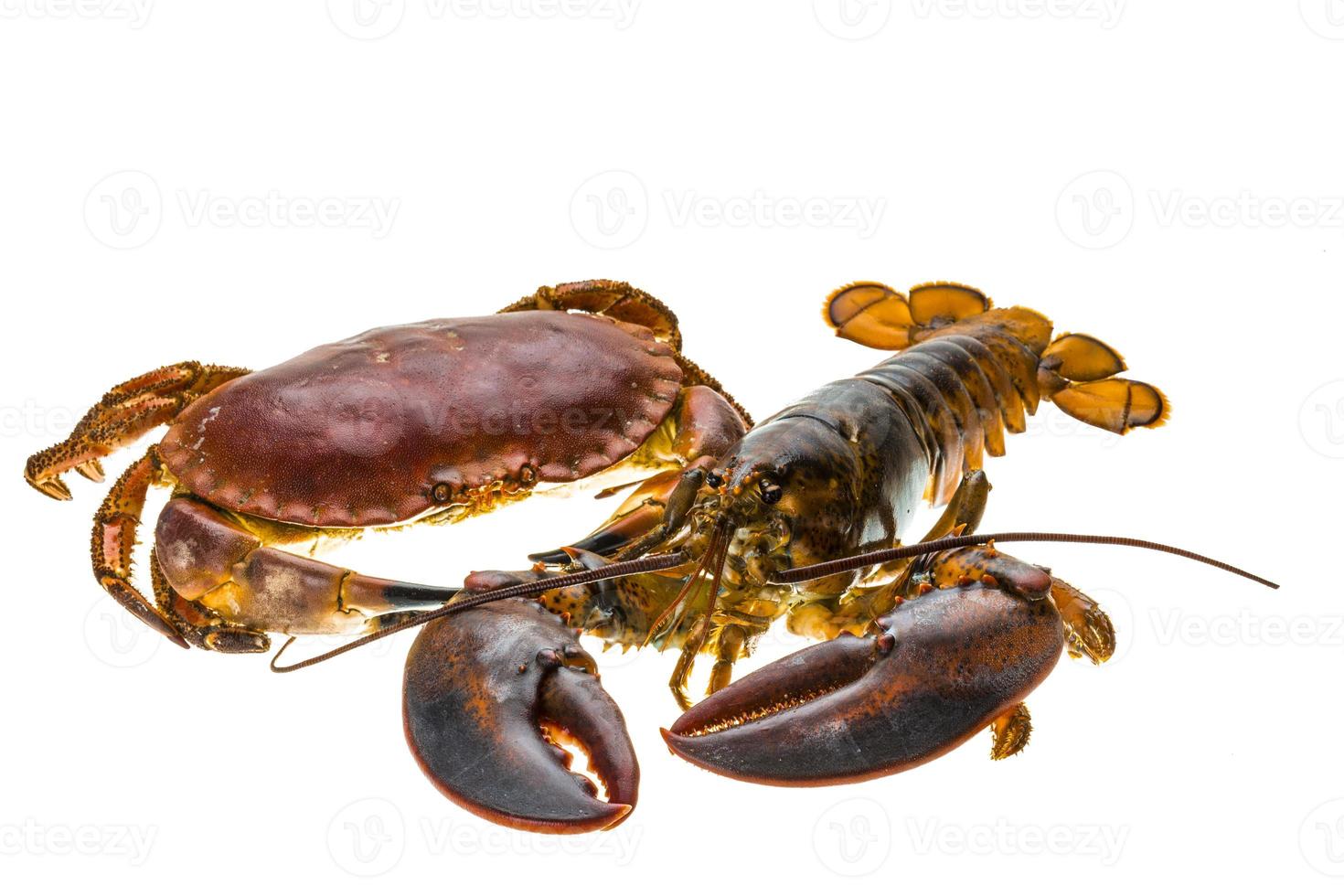 homard et crabe crus photo