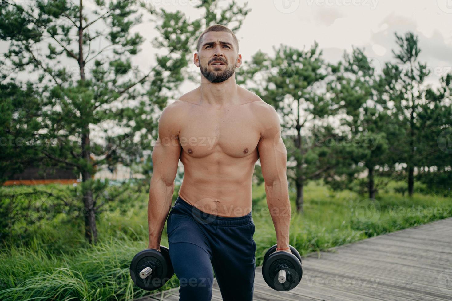 Vue Arrière D'un Homme Séduisant En Train De Soulever Des Haltères Avec Les  Deux Mains Dans La Salle De Sport. Muscles De Musculation. Montrez Les  Biceps Musculaires Du Corps, Les Triceps. Mode