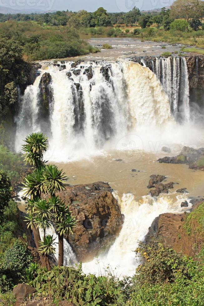 chutes du nil bleu, bahar dar, ethiopie photo