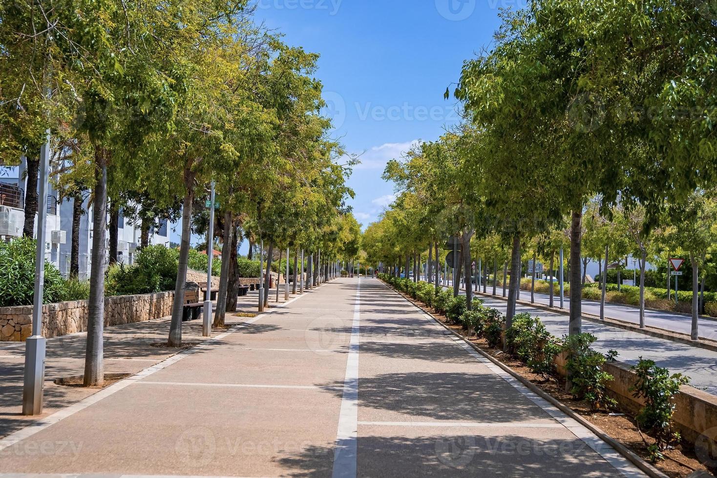 Route décroissante vide au milieu d'une rangée d'arbres contre le ciel bleu en été photo