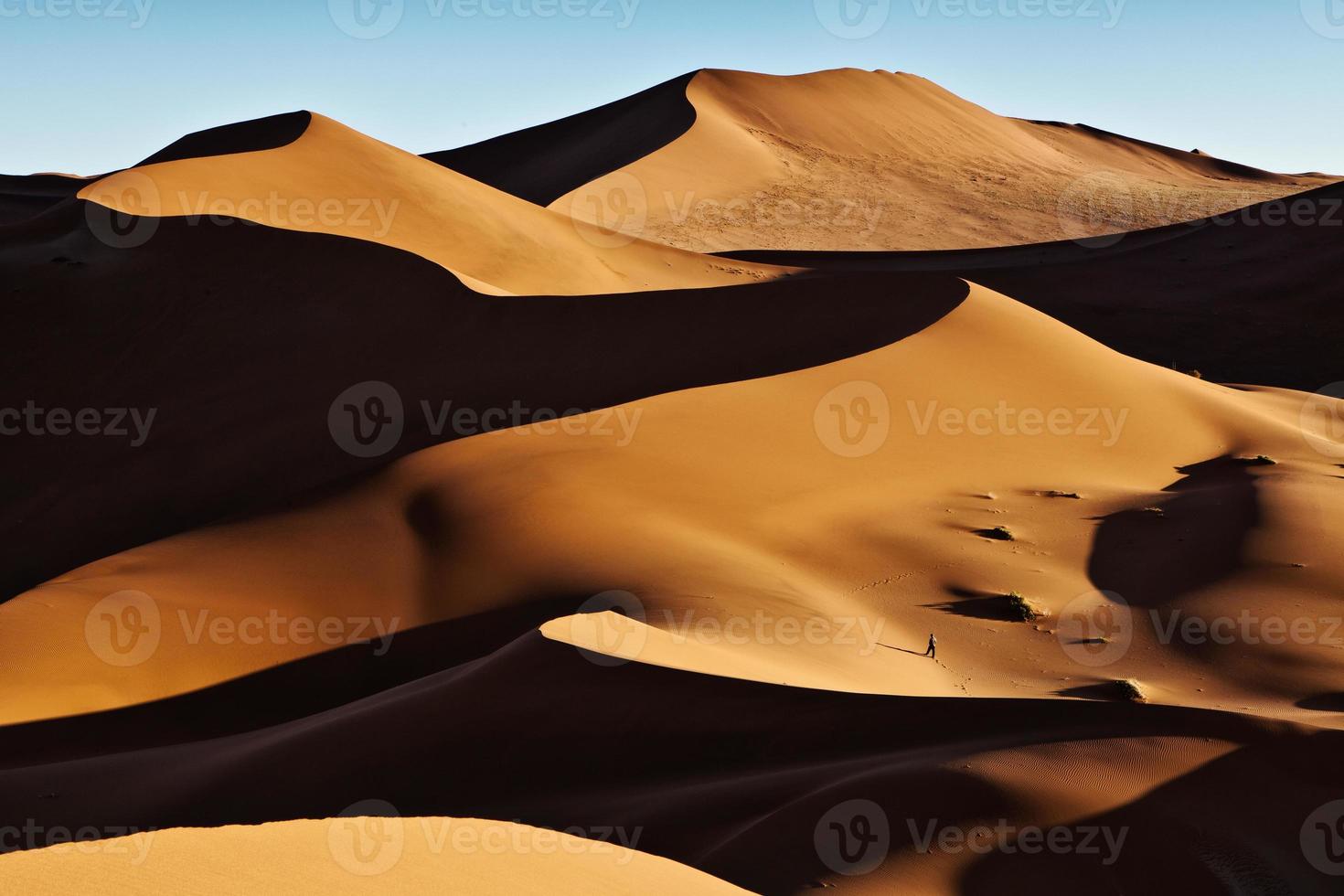 grandes dunes en namibie photo
