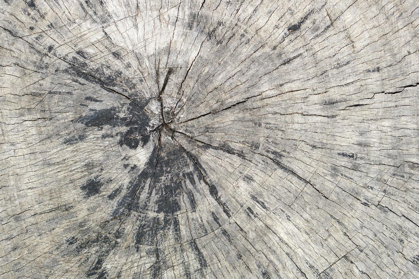 motif de fond sur un plancher en bois photo