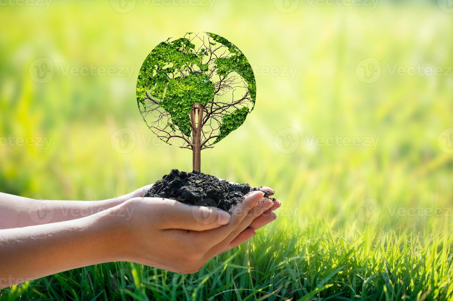 un arbre avec des feuilles de la carte du monde, concept, environnement, sauver le monde photo