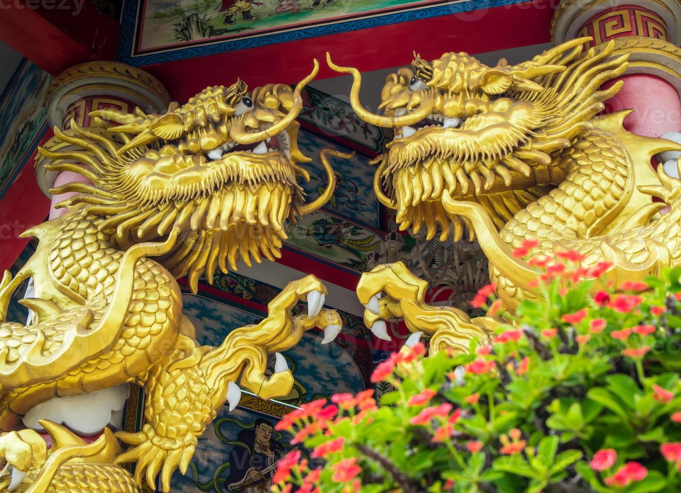 sculpture de dragon d'or et fleur rouge de l'épine du christ dans les lieux religieux chinois photo