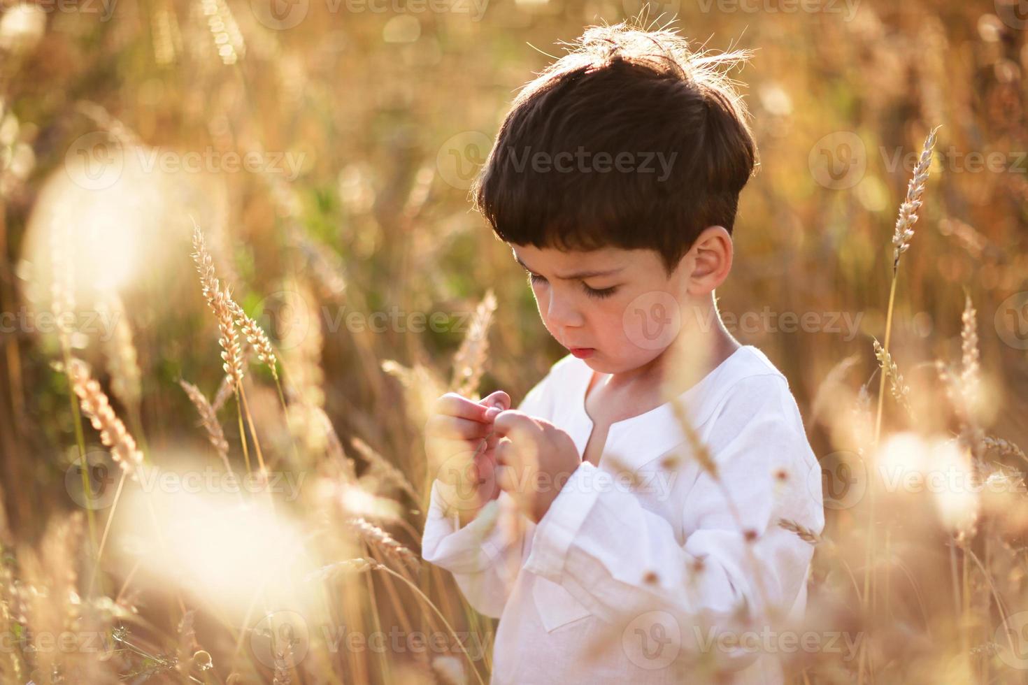 enfant dans un champ de blé photo