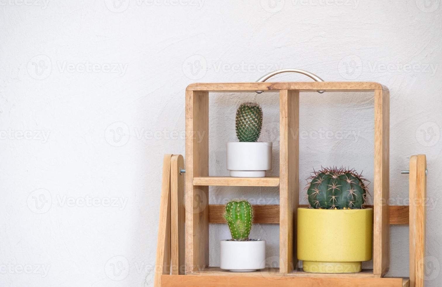 les différents cantus sur l'étagère en bois près du mur blanc pour la décoration. photo