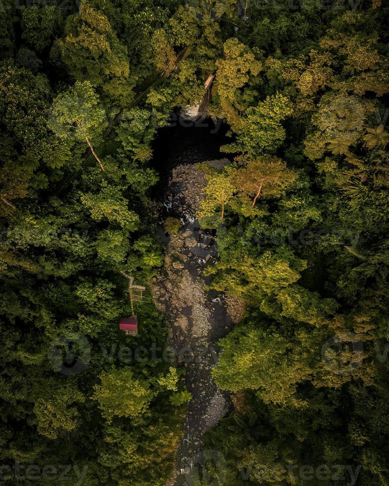 vue panoramique d'une cascade au milieu d'une forêt tropicale humide avec des photos aériennes du nord de bengkulu, indonésie