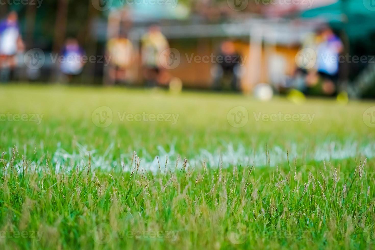 herbe dans le terrain de football photo