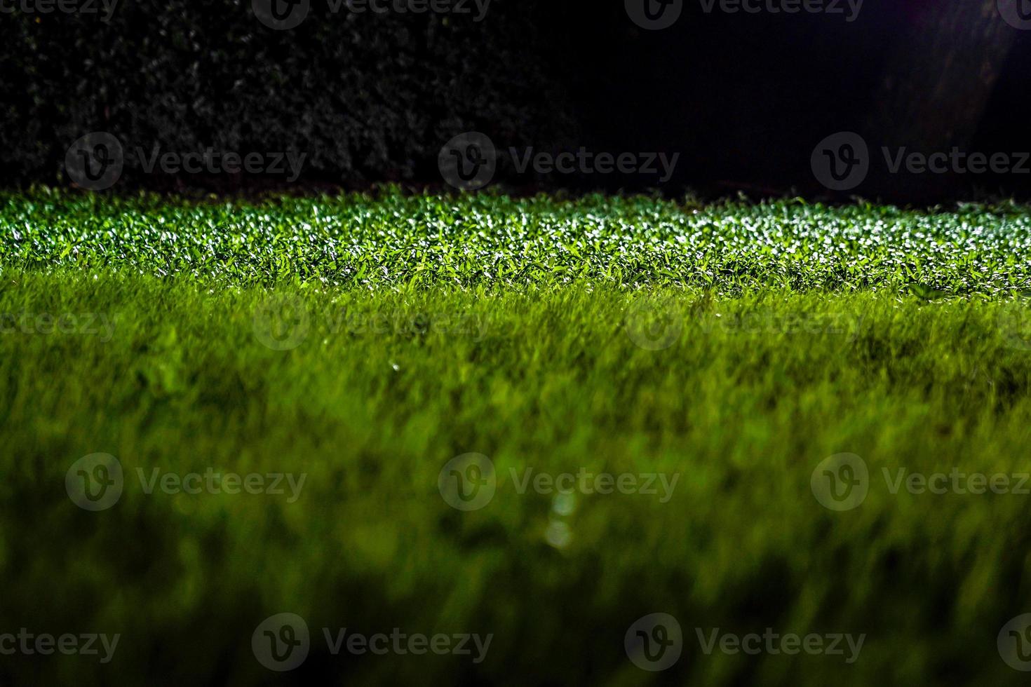 herbes au sol dans le jardin de nuit sombre avec lumière de projecteur. photo