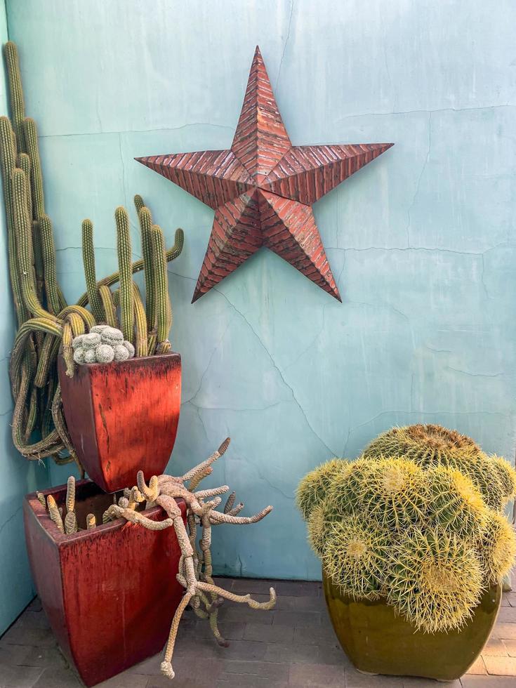 patio décoré d'une étoile en métal et de cactus photo