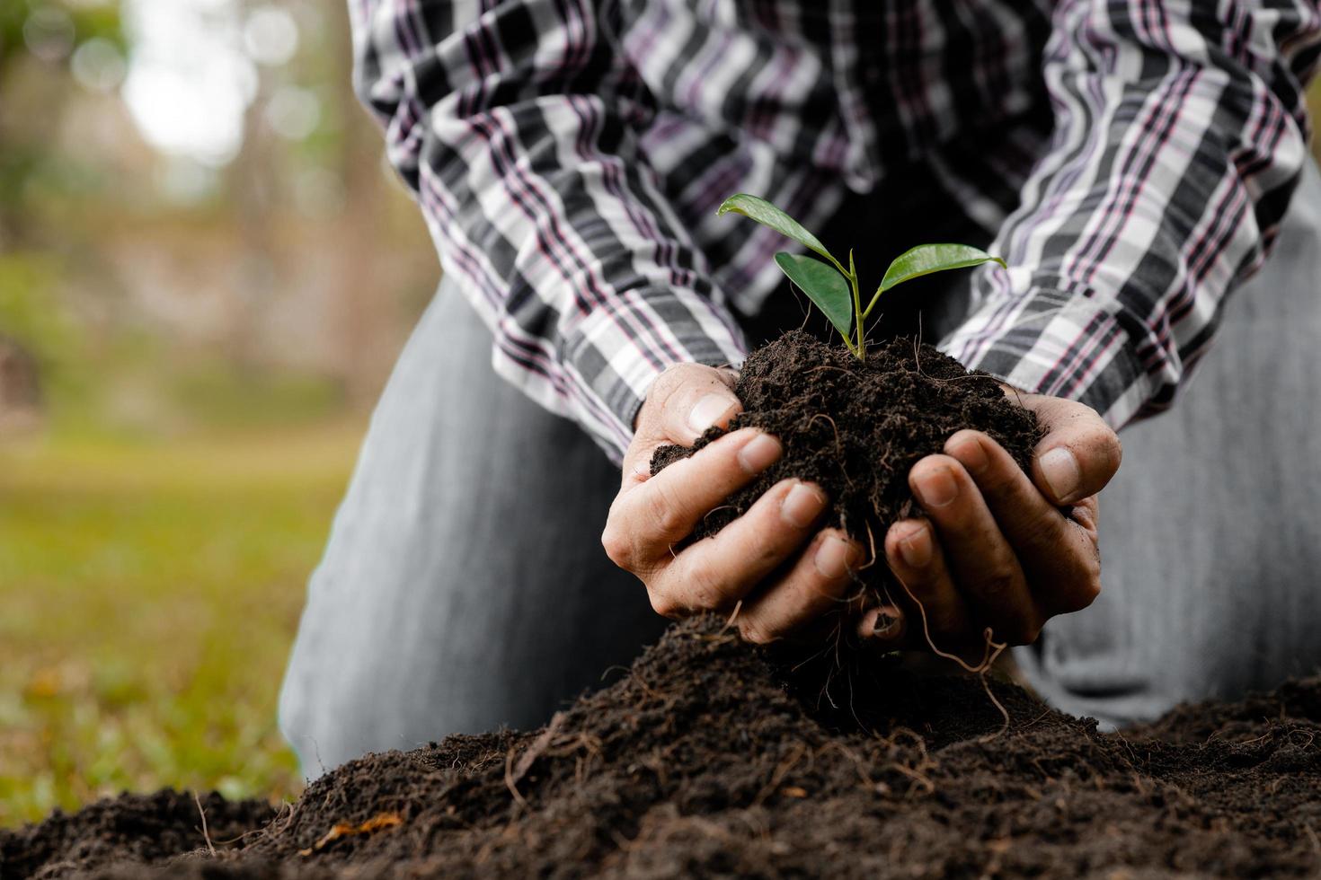 un homme plante des jeunes arbres dans le sol d'une forêt tropicale, plantant un arbre de remplacement pour réduire le réchauffement climatique. le concept de sauver le monde et de réduire le réchauffement climatique. photo