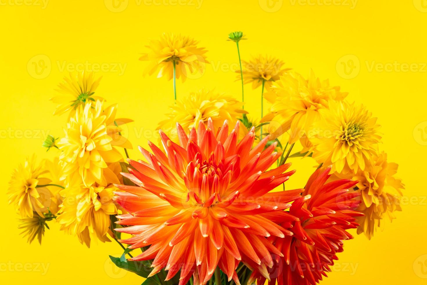 bouquet d'été fleurs jaunes et rouges sur fond clair. les chrysanthèmes et les dahlias se bouchent. photo