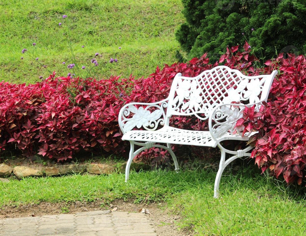 chaises blanches dans le jardin. photo