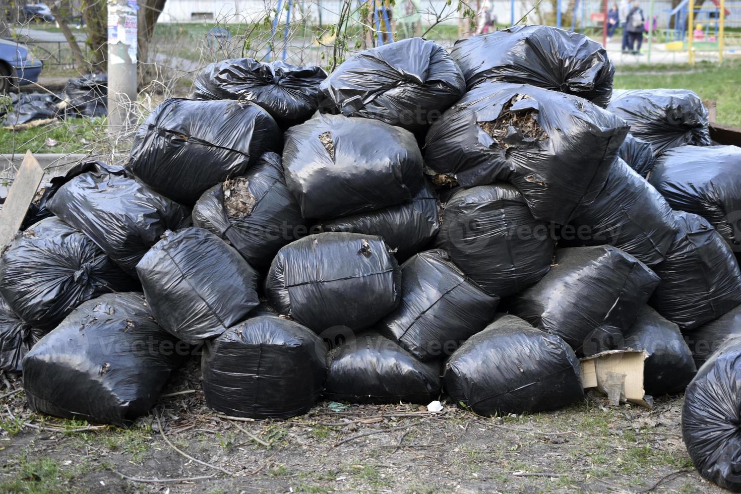 sacs poubelles noirs après le nettoyage des rues photo