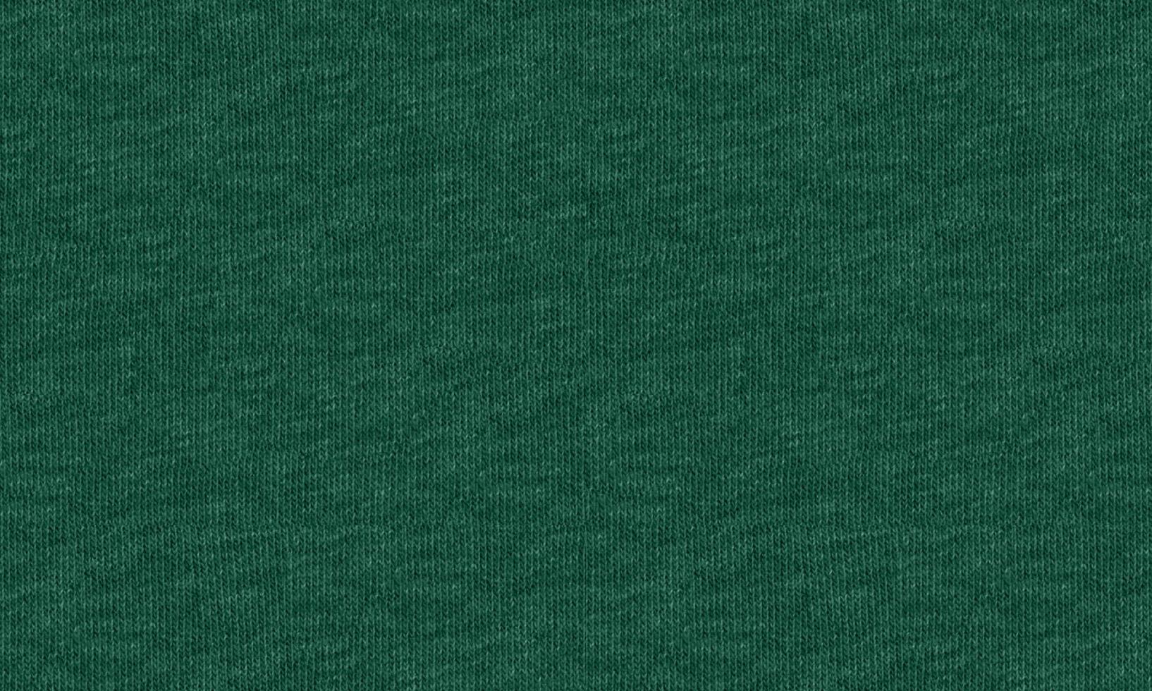 fond de texture de tissu de jersey de coton de couleur verte. photo