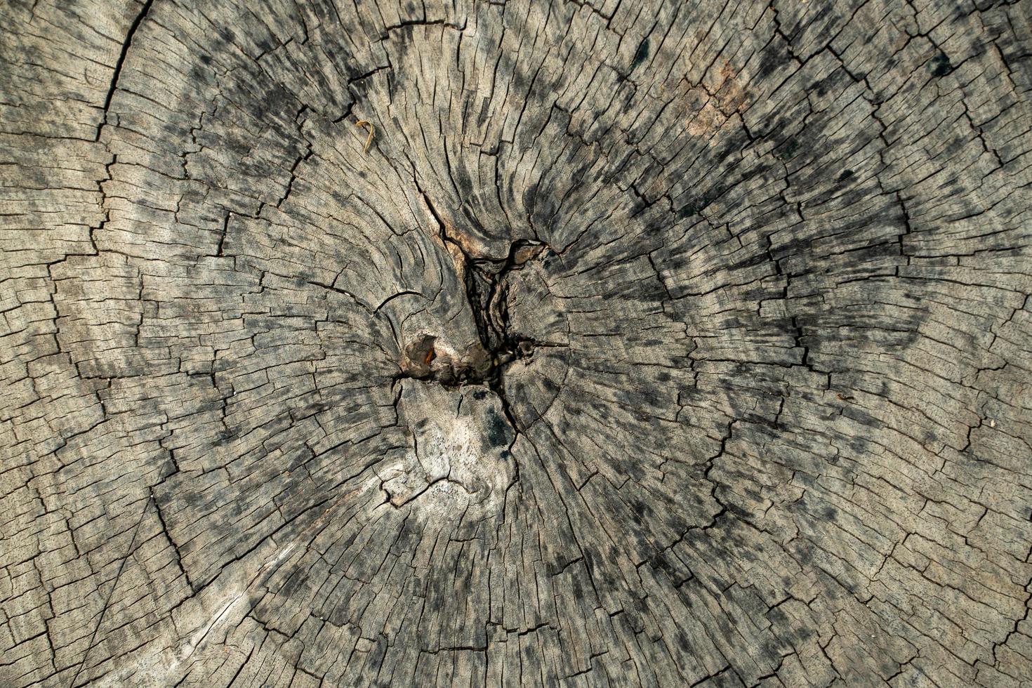 texture de l'ancien plancher en bois. surface fond de texture de bois ancien. photo