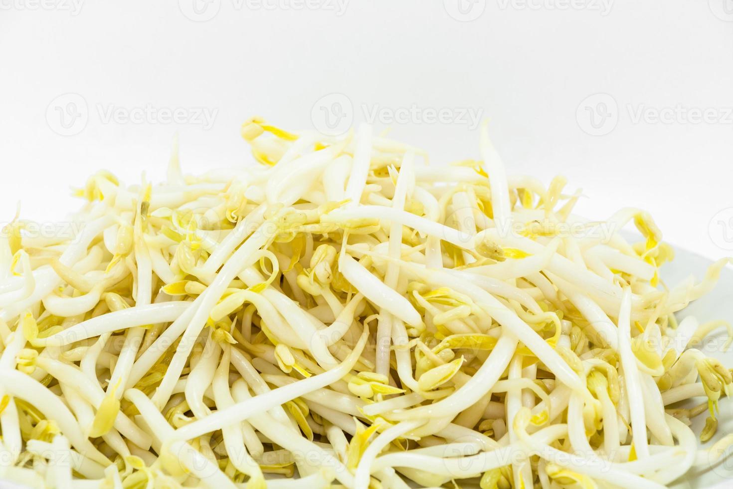 germes de soja sur fond blanc photo
