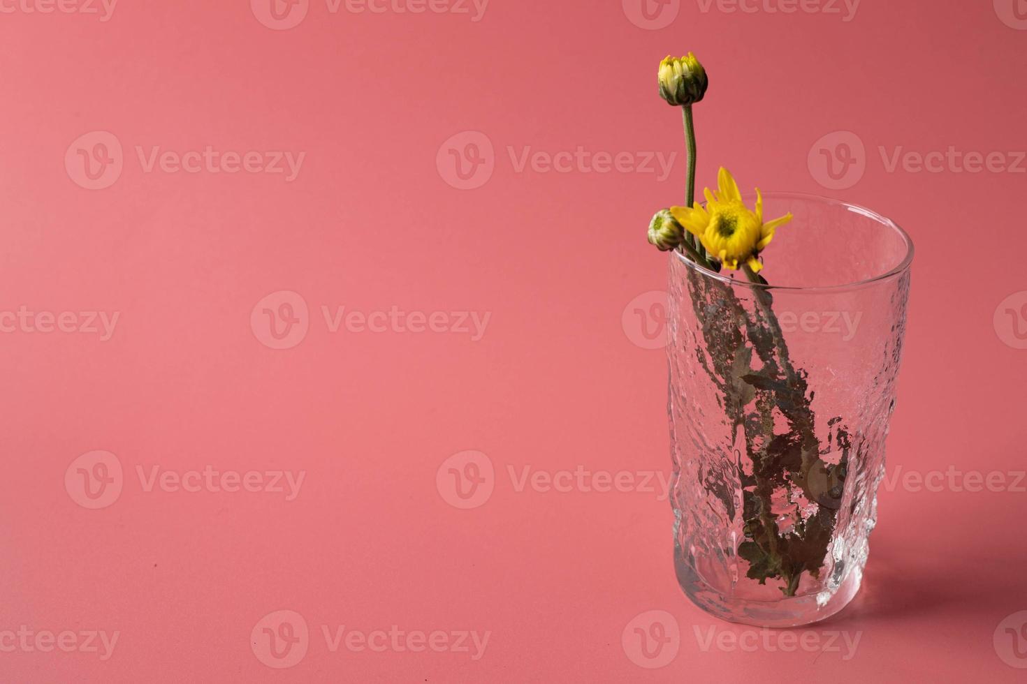 fleurs dans un vase en verre sur fond rose photo