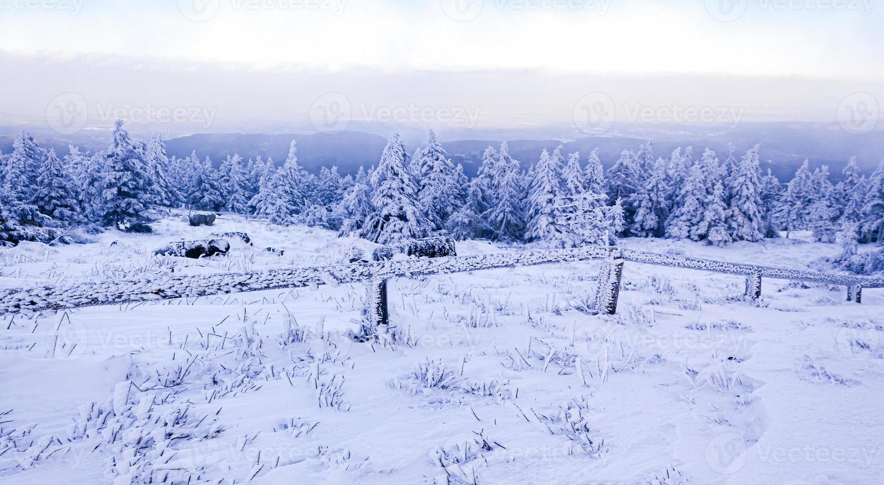 Il a neigé dans le paysage de sapins glacés Brocken Mountain Harz Allemagne photo