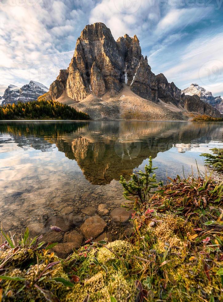 réflexion sur les montagnes rocheuses du lac céruléen dans le parc provincial assiniboine photo