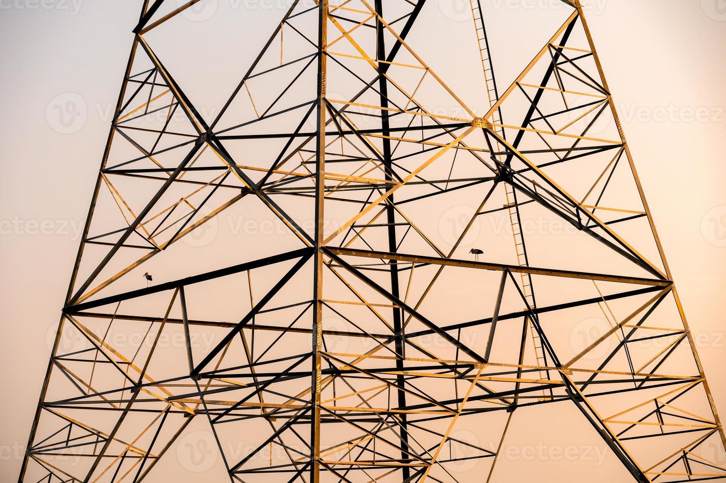 oiseaux sur poteau haute tension, tour de transmission dans la campagne au coucher du soleil photo