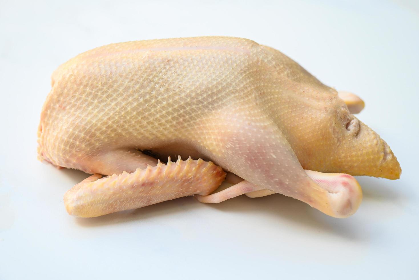 canard cru sur fond blanc gris, viande de canard fraîche pour la nourriture, canard entier sur assiette photo