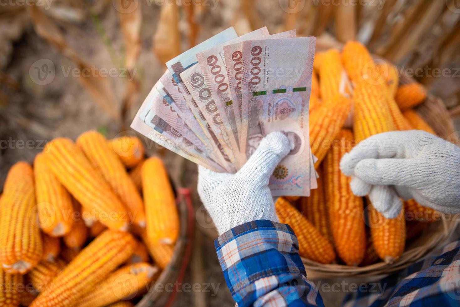 les producteurs de maïs détiennent des billets thaïlandais. la notion de bénéfices du commerce. photo
