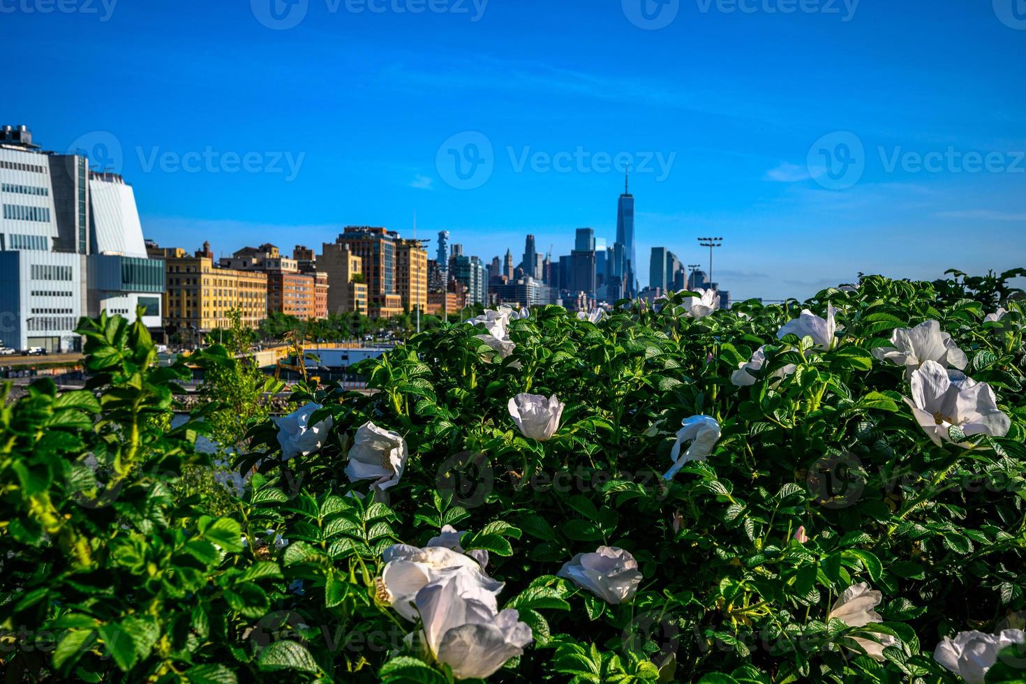 petite île à manhattan photo