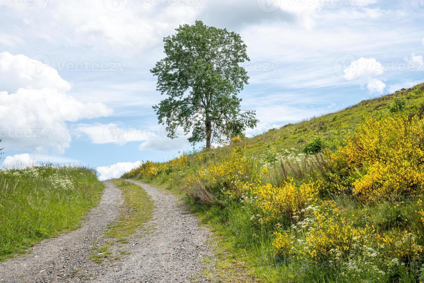 route dans le paysage photo