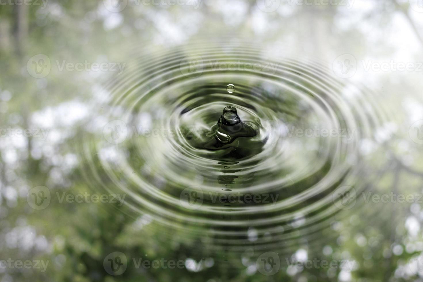 le mouvement de la surface des gouttelettes d'eau avec l'ombre de l'arbre, la surface des gouttelettes d'eau photo