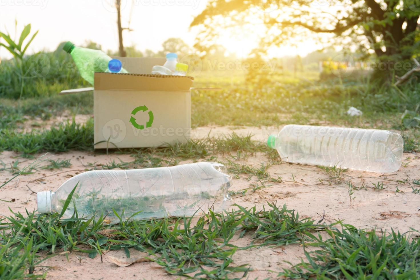 bouteilles en plastique dans une boîte pour le concept de recyclage photo