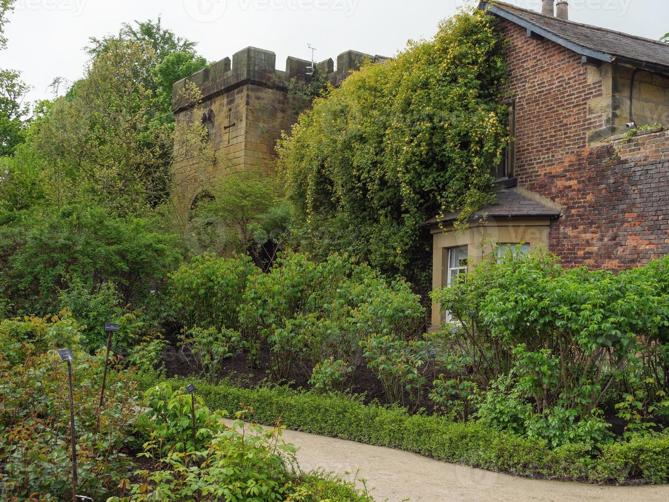 jardin et littoral près de newcastle en angleterre photo