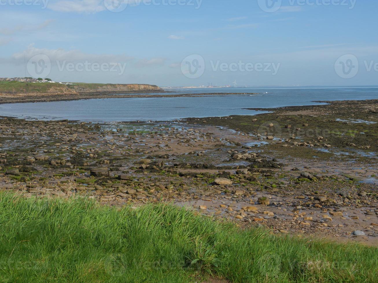 jardin et littoral près de newcastle en angleterre photo