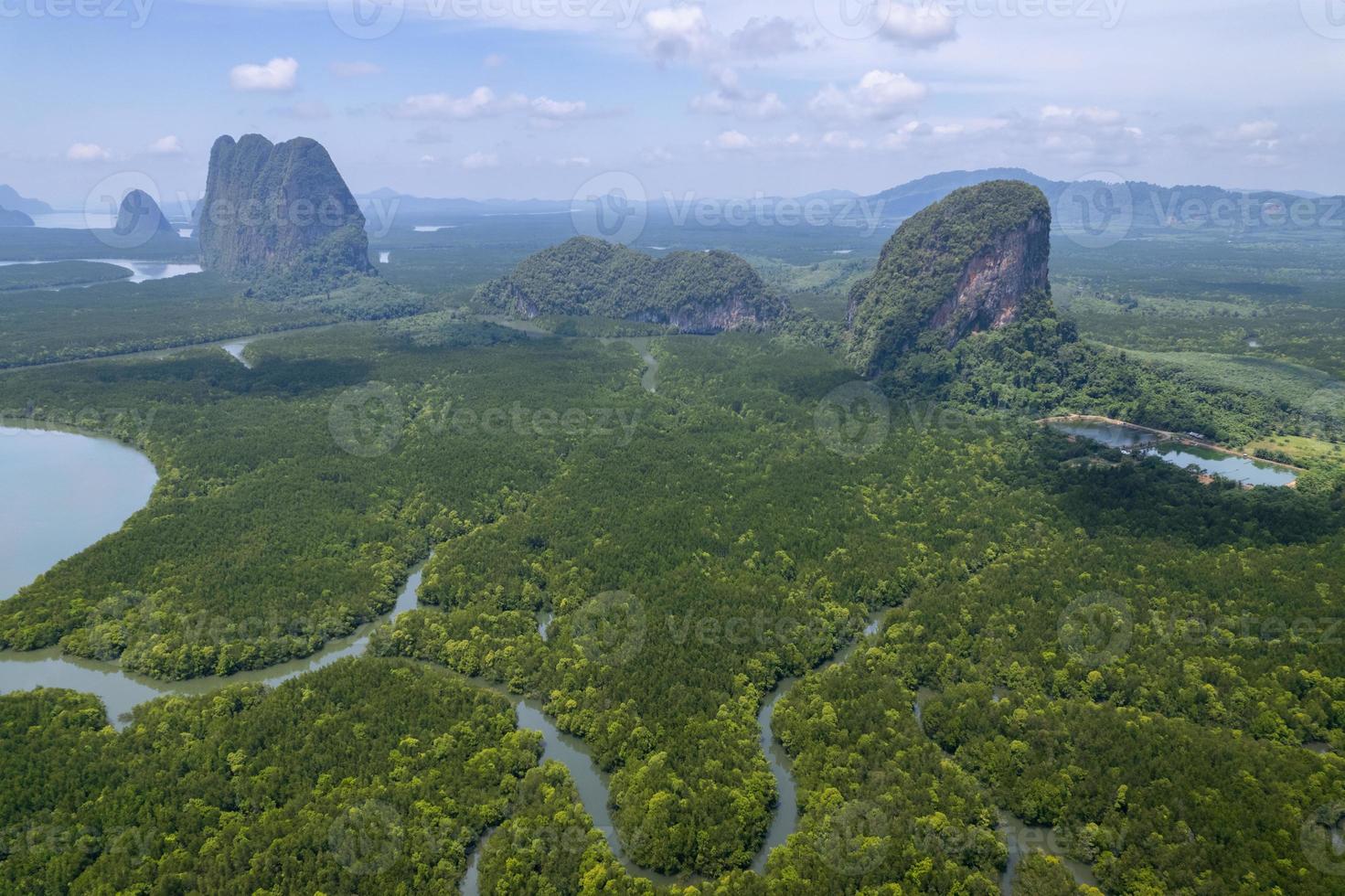 incroyable forêt de mangrove abondante vue aérienne des arbres forestiers écosystème de la forêt tropicale et environnement sain texture de fond des arbres verts forêt haut vers le bas vue en grand angle photo