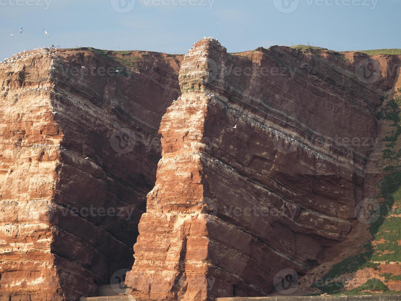 l'île d'helgoland photo