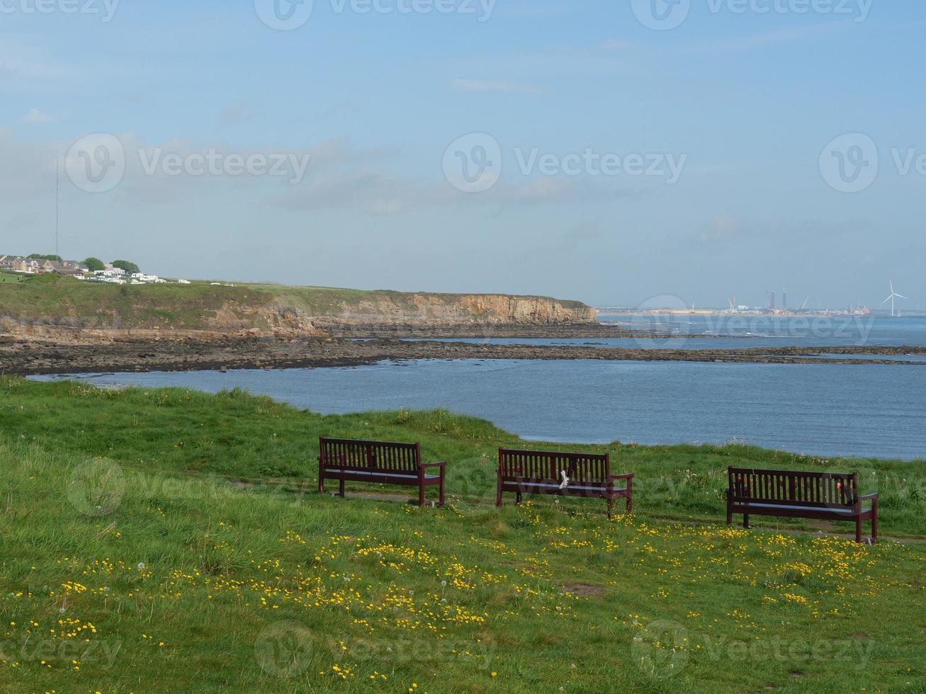 jardin et littoral près de newcastle en angleterre photo