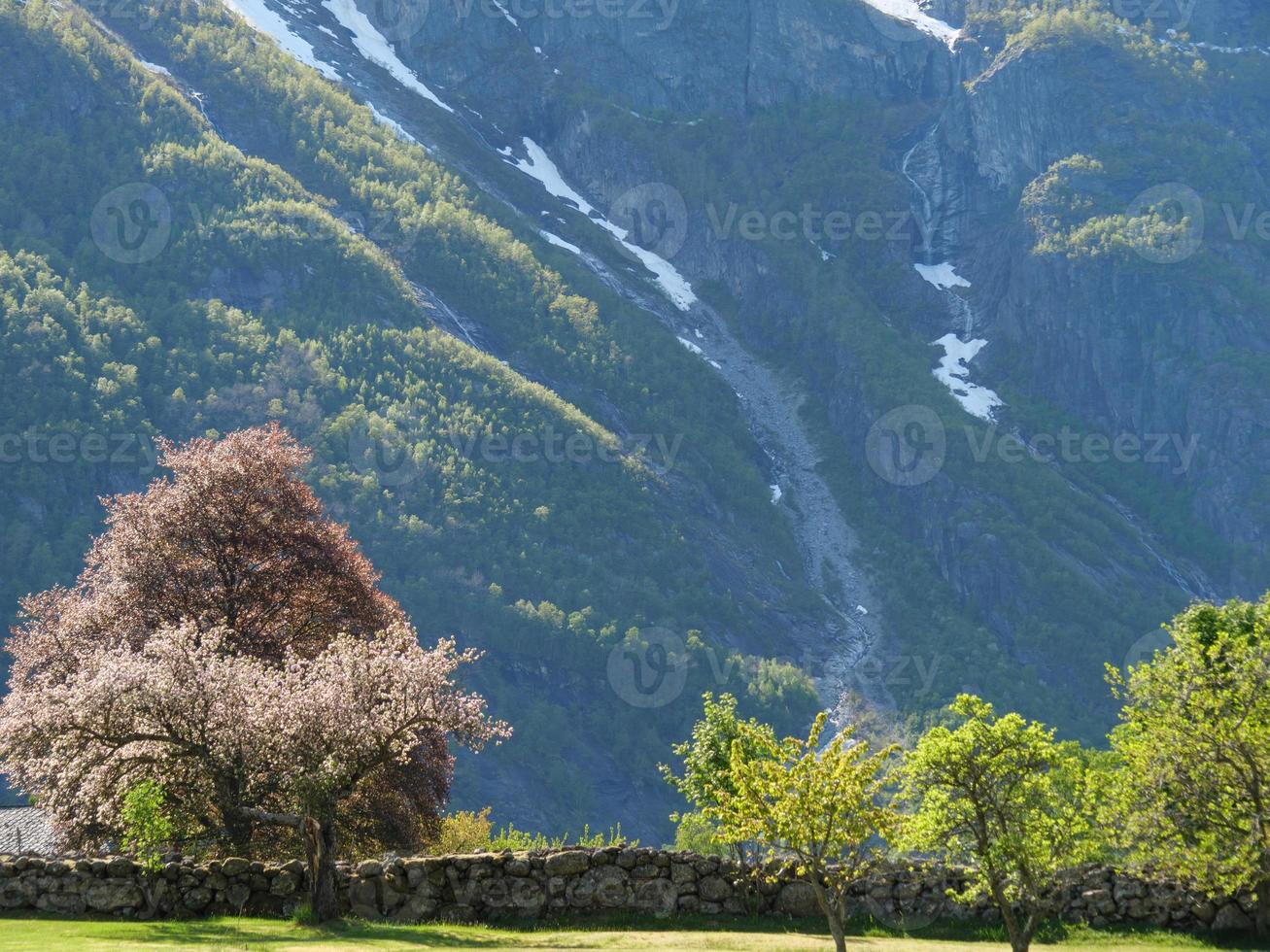 le petit village eidfjord dans le hardangerfjord norvégien photo